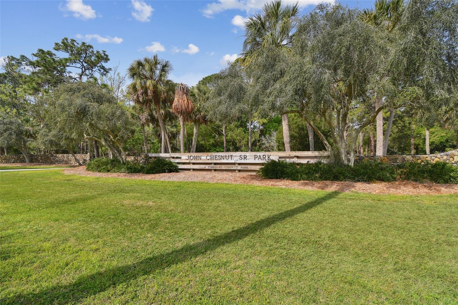 4393 BROOKER CREEK DR, PALM HARBOR, FL, 34685