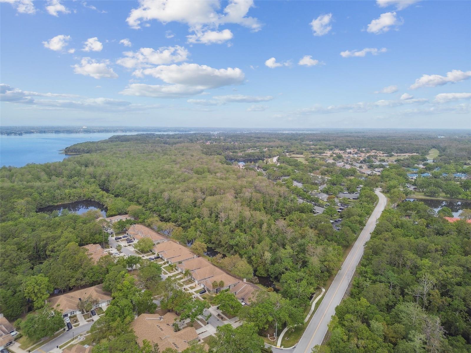 4393 BROOKER CREEK DR, PALM HARBOR, FL, 34685
