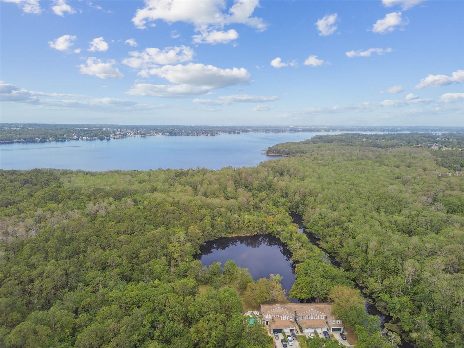 4393 BROOKER CREEK DR, PALM HARBOR, FL, 34685