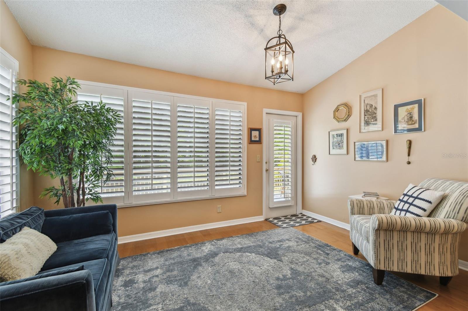 4393 BROOKER CREEK DR, PALM HARBOR, FL, 34685