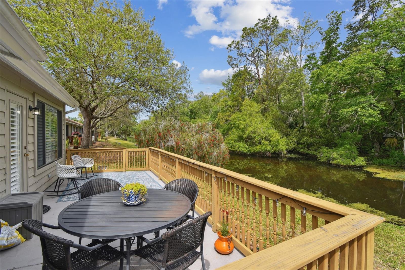 4393 BROOKER CREEK DR, PALM HARBOR, FL, 34685