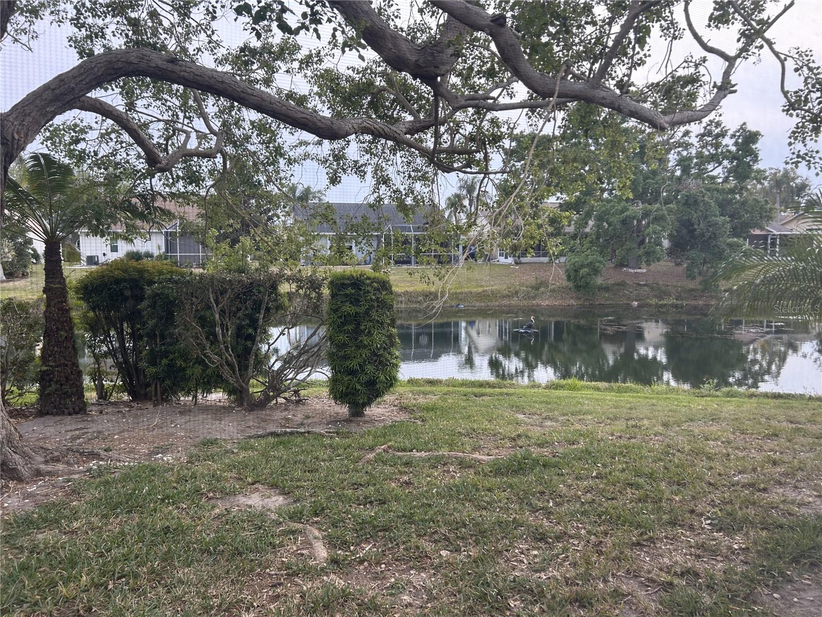 4538 HAMLETS GROVE DR, SARASOTA, FL, 34235