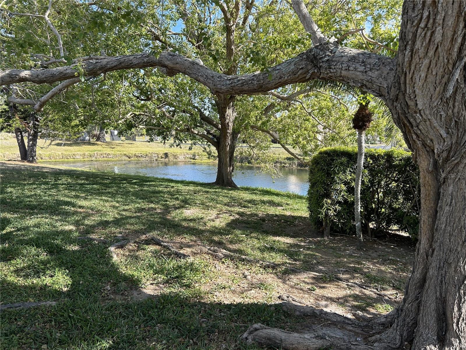 4538 HAMLETS GROVE DR, SARASOTA, FL, 34235