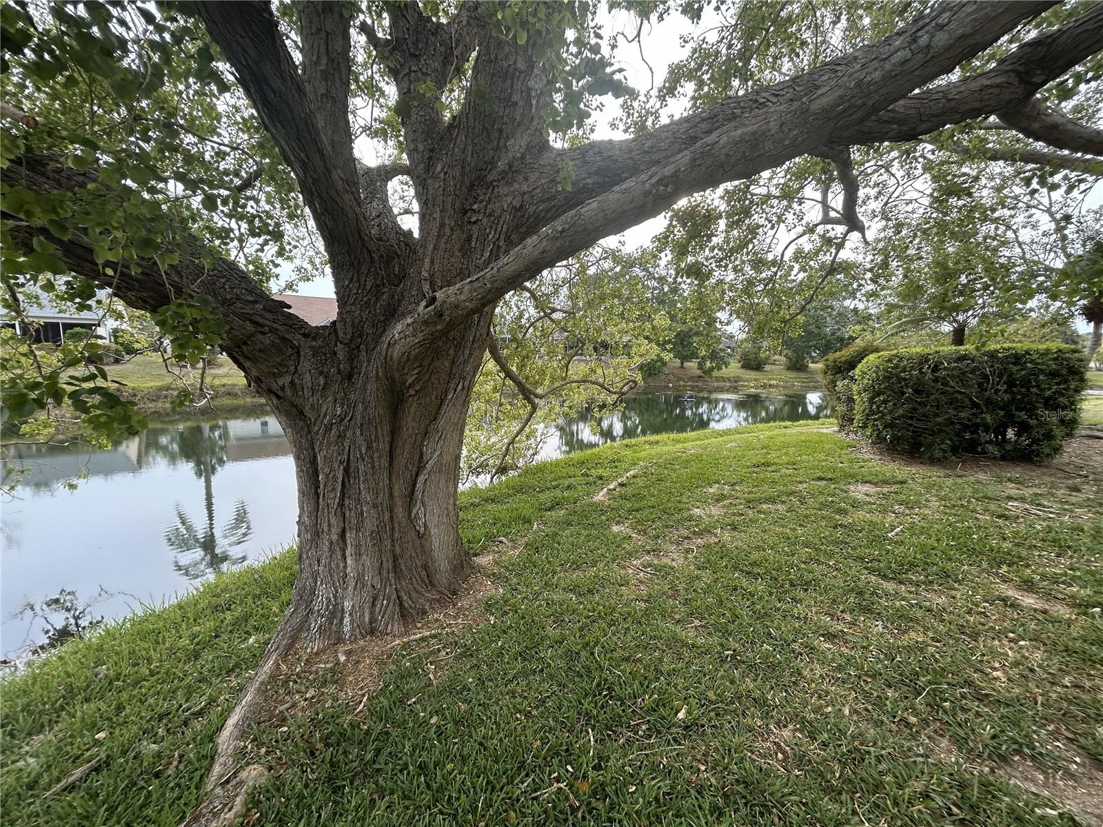 4538 HAMLETS GROVE DR, SARASOTA, FL, 34235