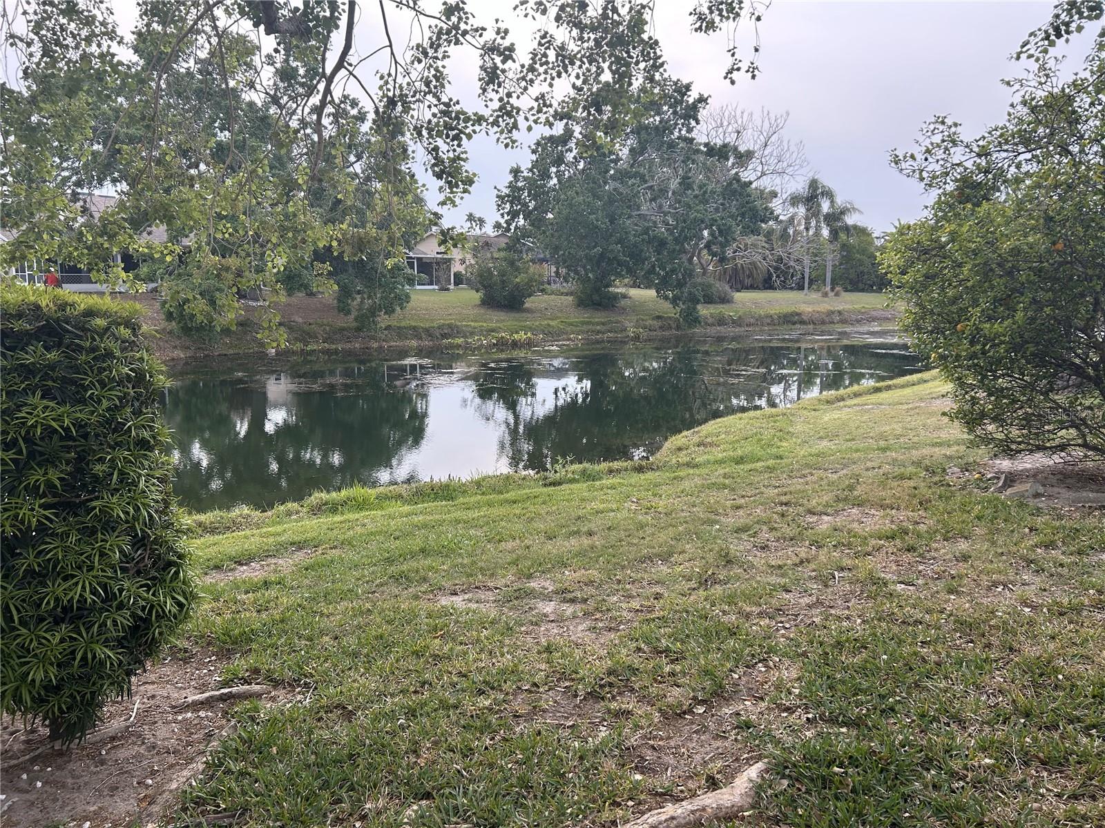 4538 HAMLETS GROVE DR, SARASOTA, FL, 34235