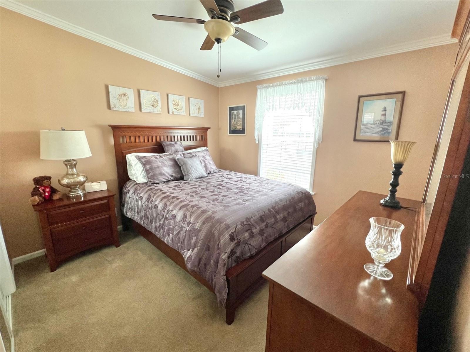 7316 AMERICANA DR NE #146, ST PETERSBURG, FL, 33702