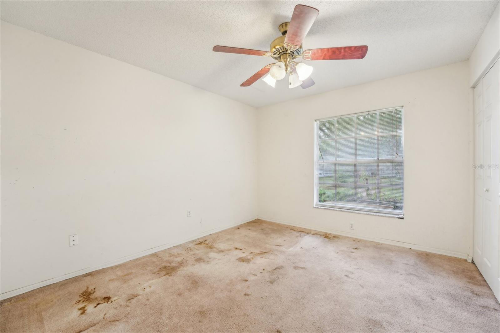 6231 MASSEY RD, ZEPHYRHILLS, FL, 33542