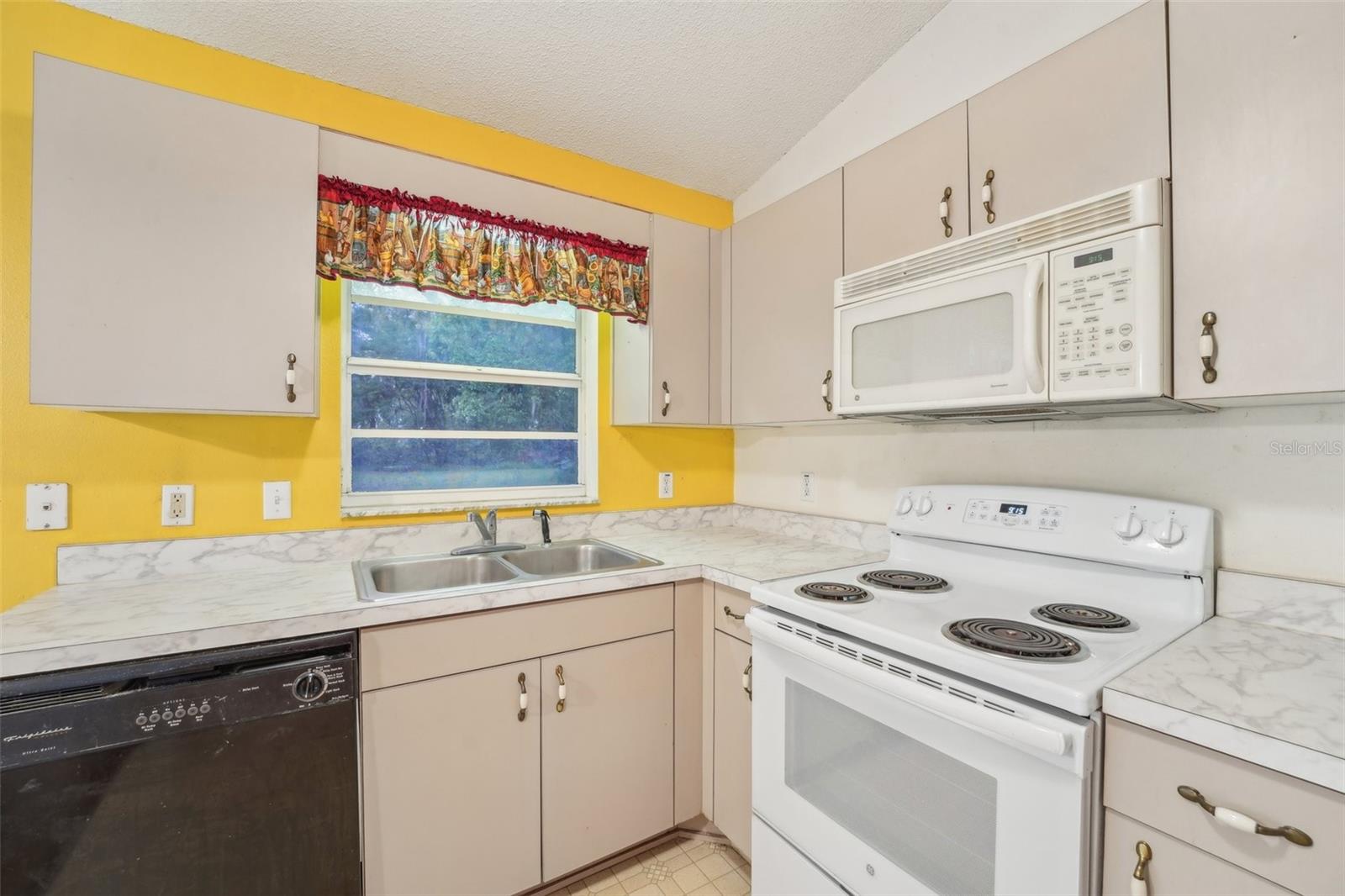 6231 MASSEY RD, ZEPHYRHILLS, FL, 33542