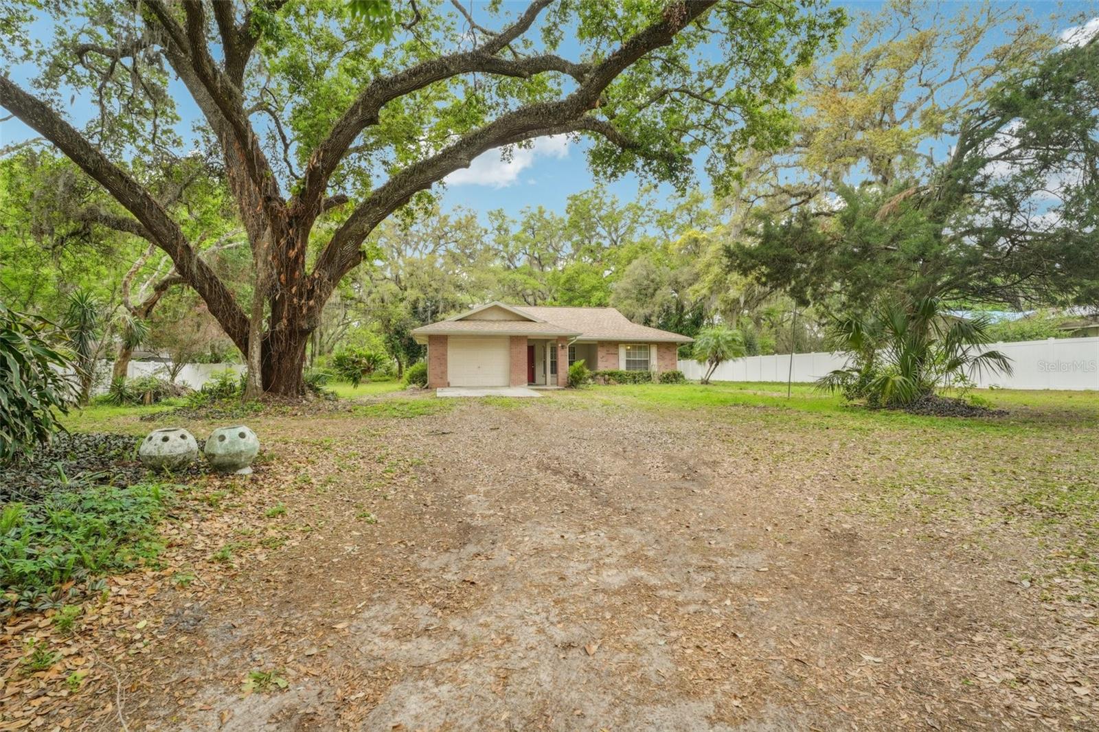 6231 MASSEY RD, ZEPHYRHILLS, FL, 33542