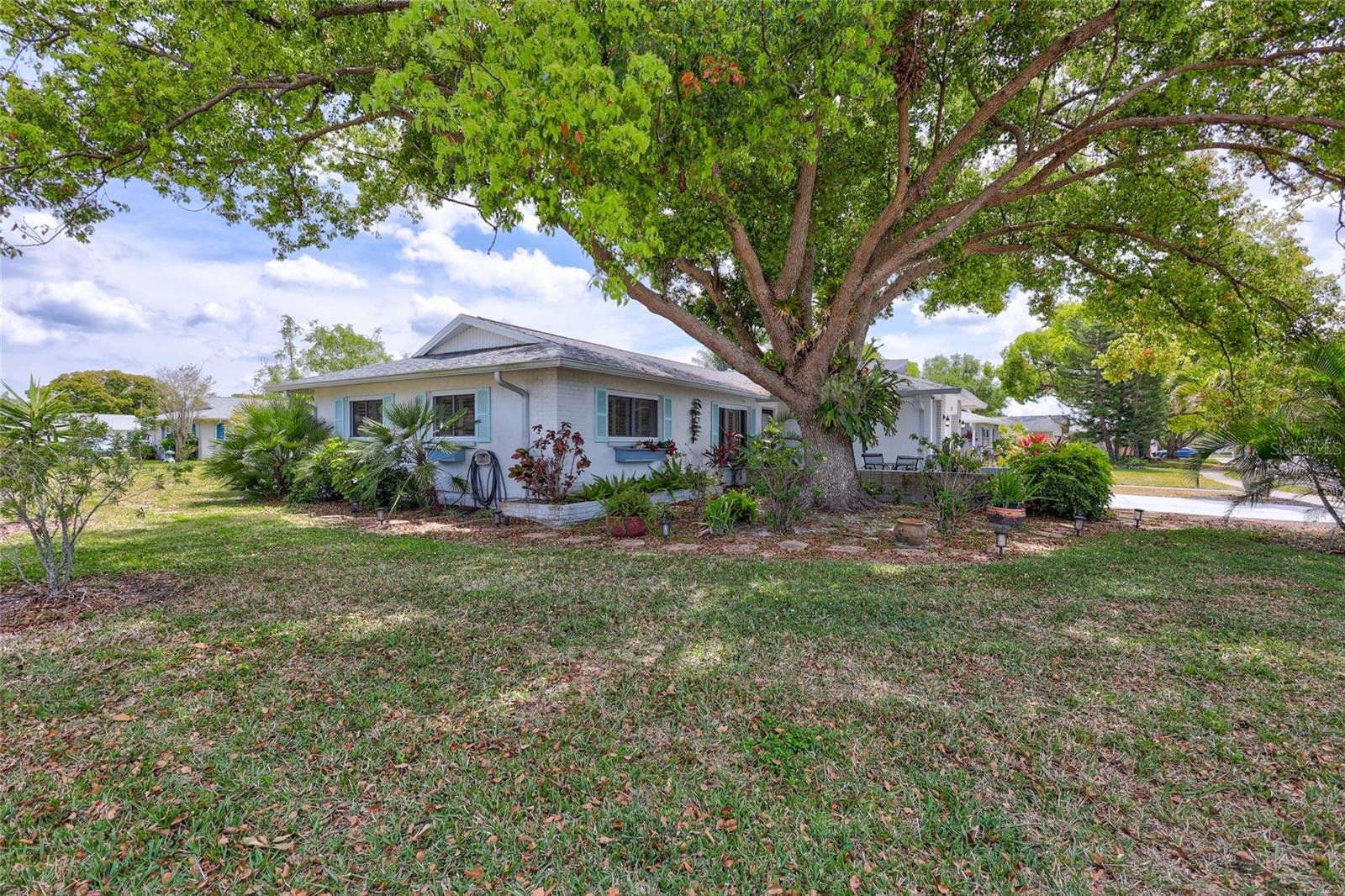 1496 QUEEN ANNE DR, PALM HARBOR, FL, 34684