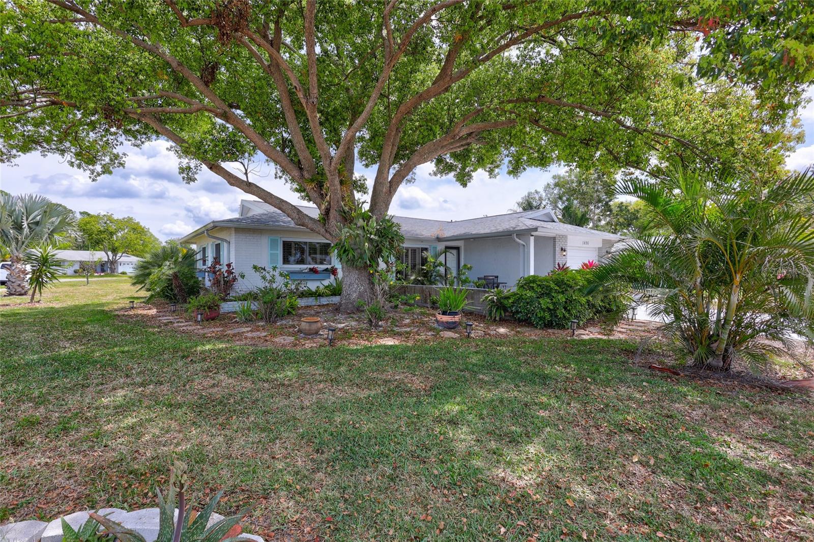 1496 QUEEN ANNE DR, PALM HARBOR, FL, 34684