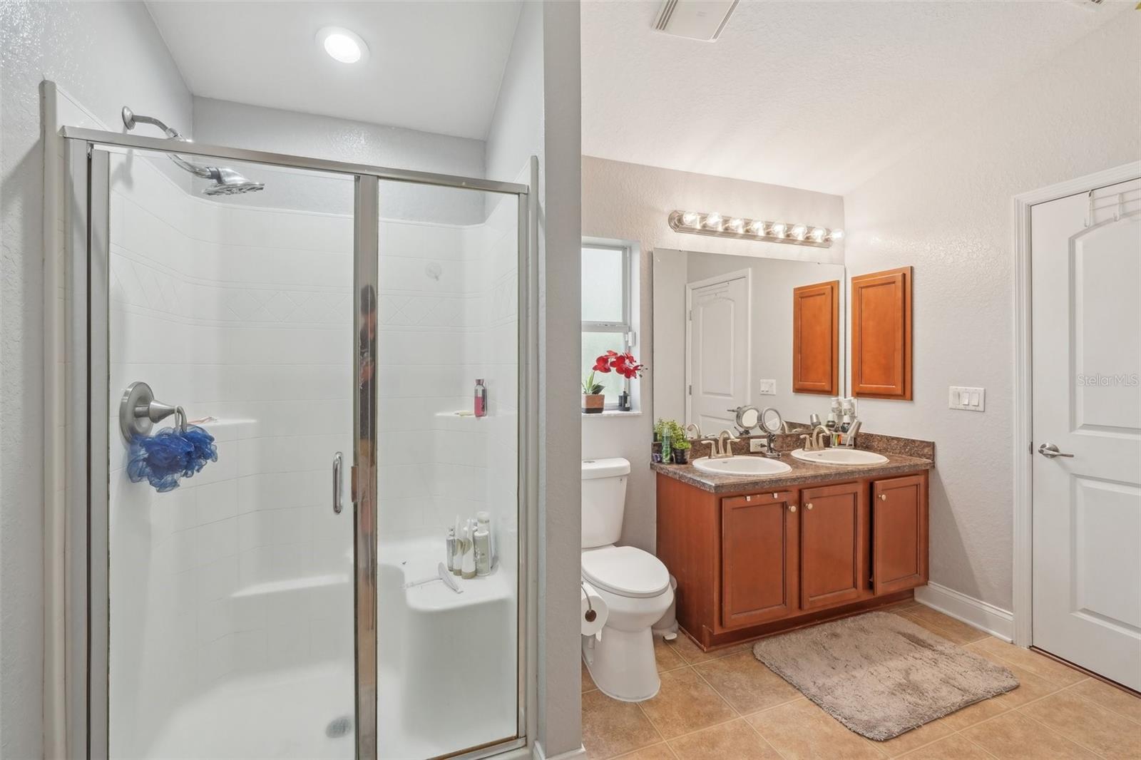 20224 NATURES SPIRIT DR, TAMPA, FL, 33647