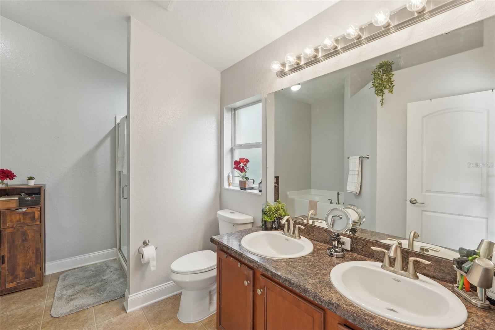 20224 NATURES SPIRIT DR, TAMPA, FL, 33647