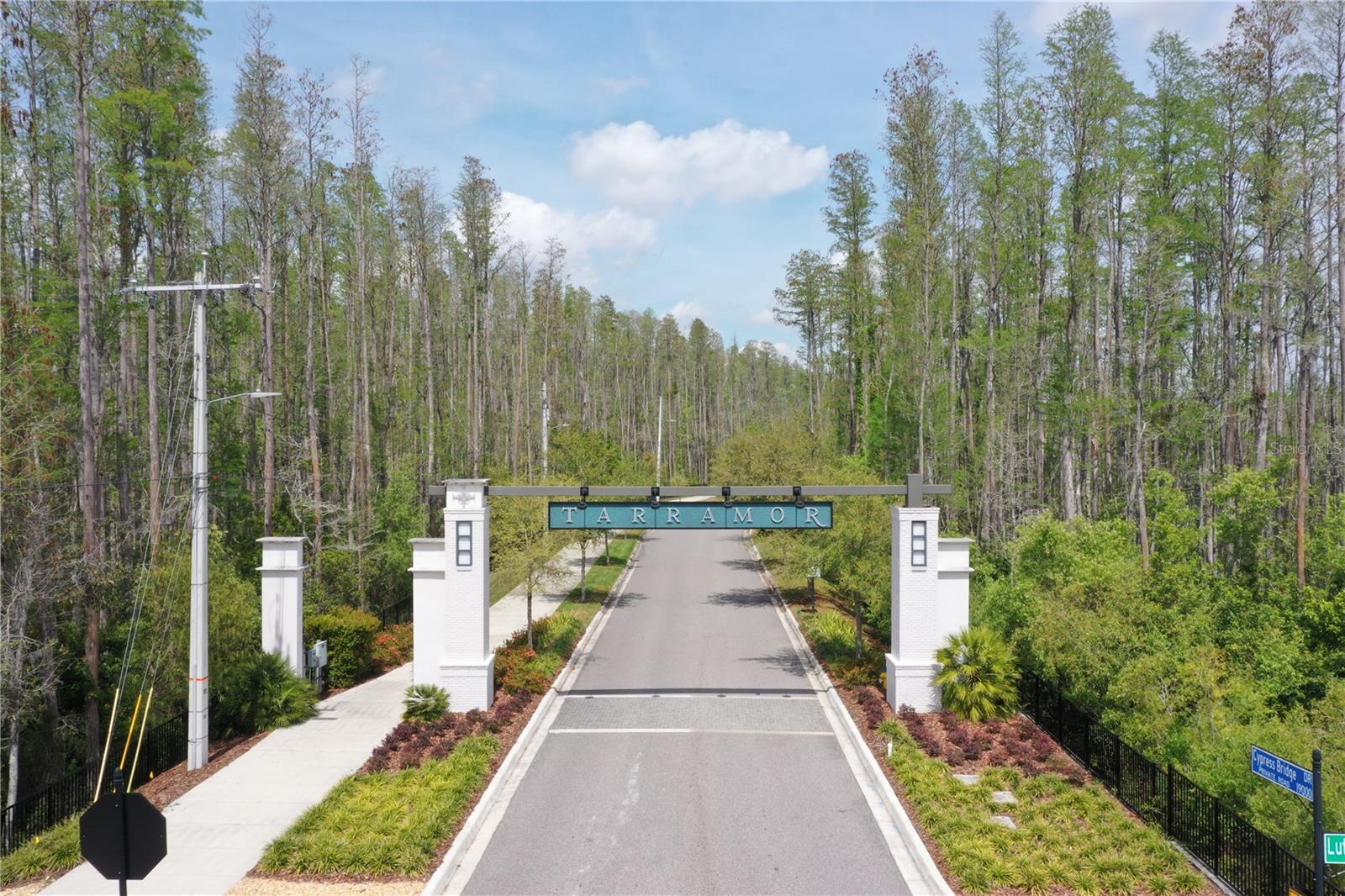 19934 CYPRESS BRIDGE DR, ODESSA, FL, 33556