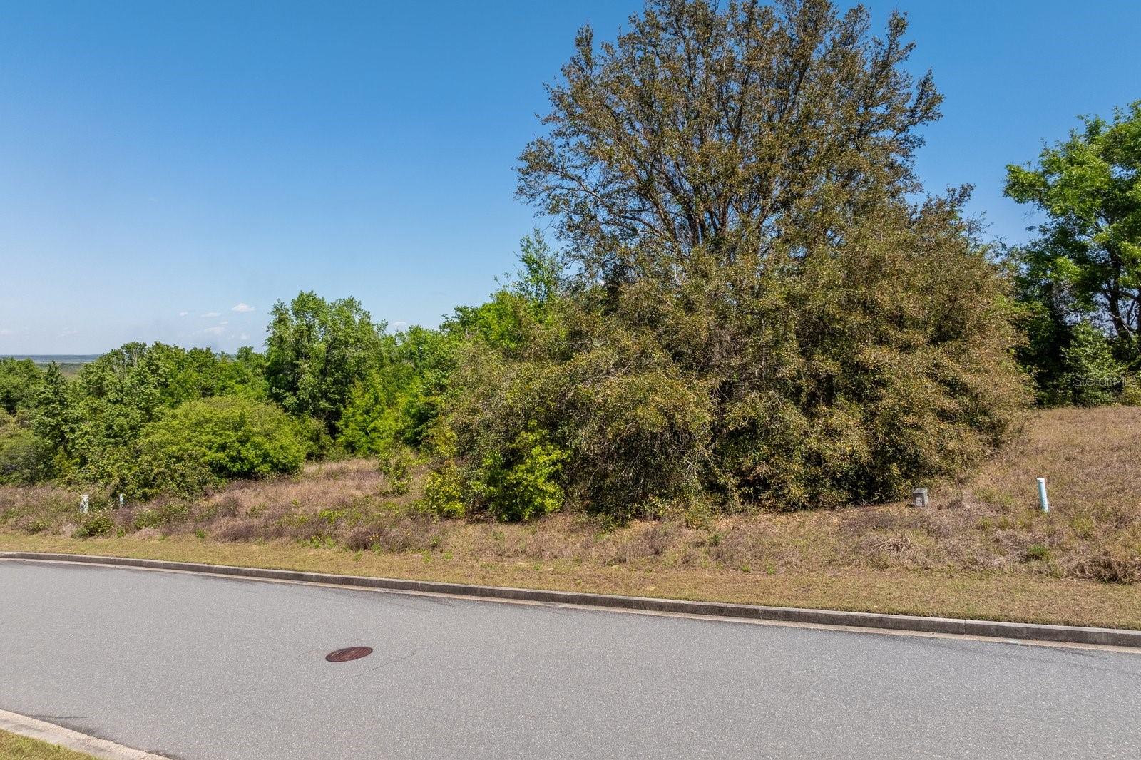 3635 RIDGE RUN DR #lot 47, MINNEOLA, FL, 34715
