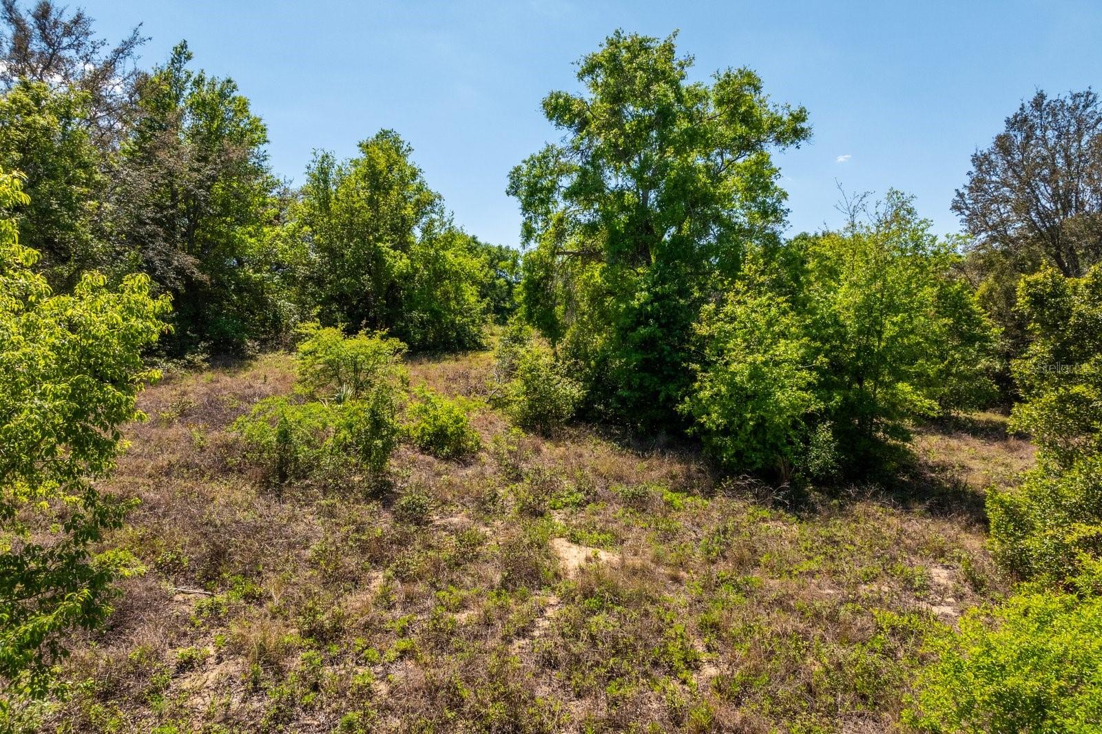 3635 RIDGE RUN DR #lot 47, MINNEOLA, FL, 34715