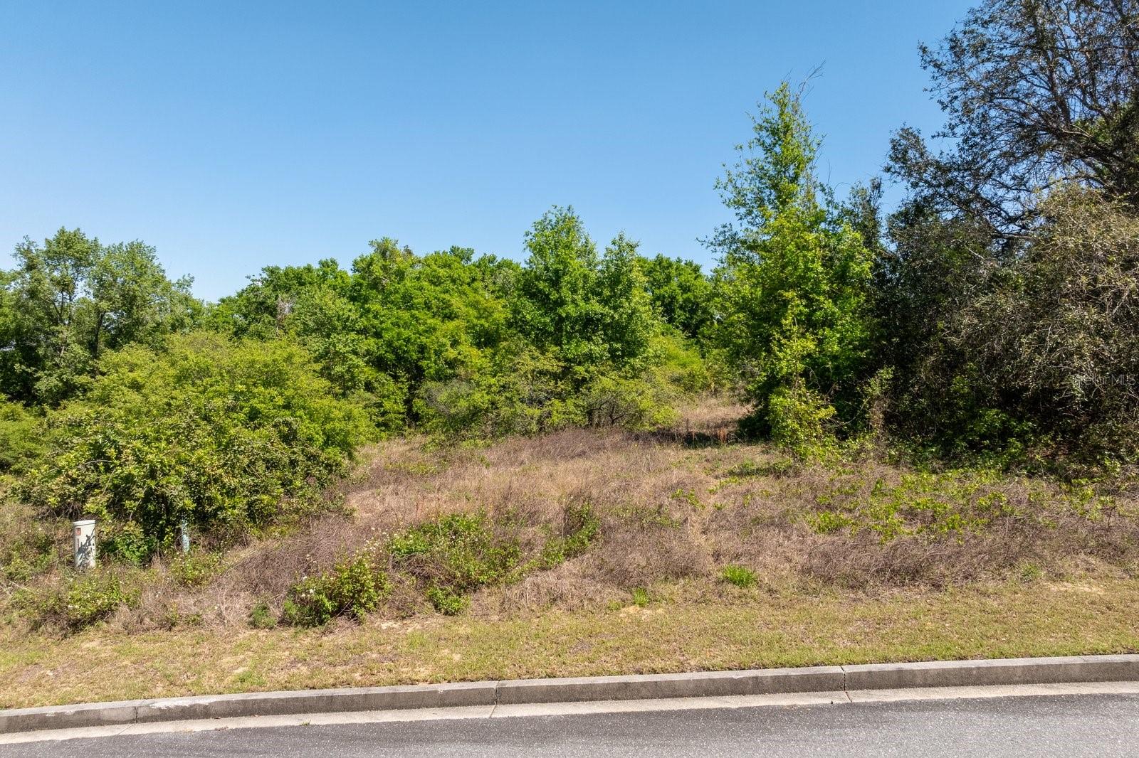 3635 RIDGE RUN DR #lot 47, MINNEOLA, FL, 34715