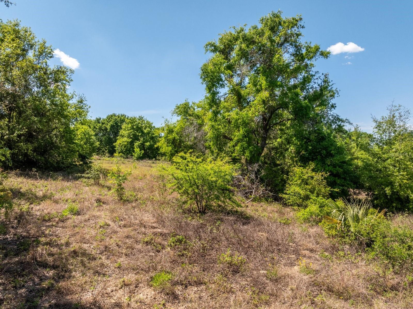 3635 RIDGE RUN DR #lot 47, MINNEOLA, FL, 34715
