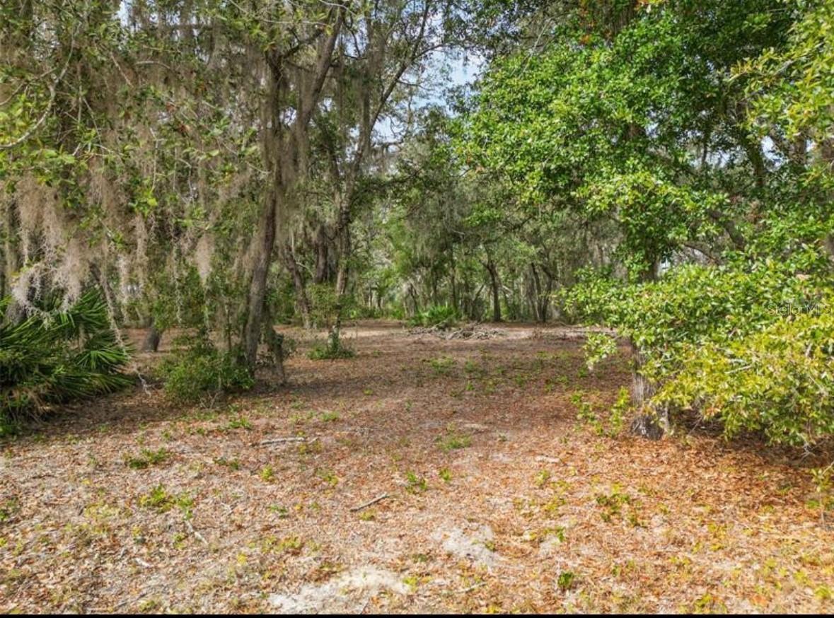 3635 RIDGE RUN DR #lot 47, MINNEOLA, FL, 34715