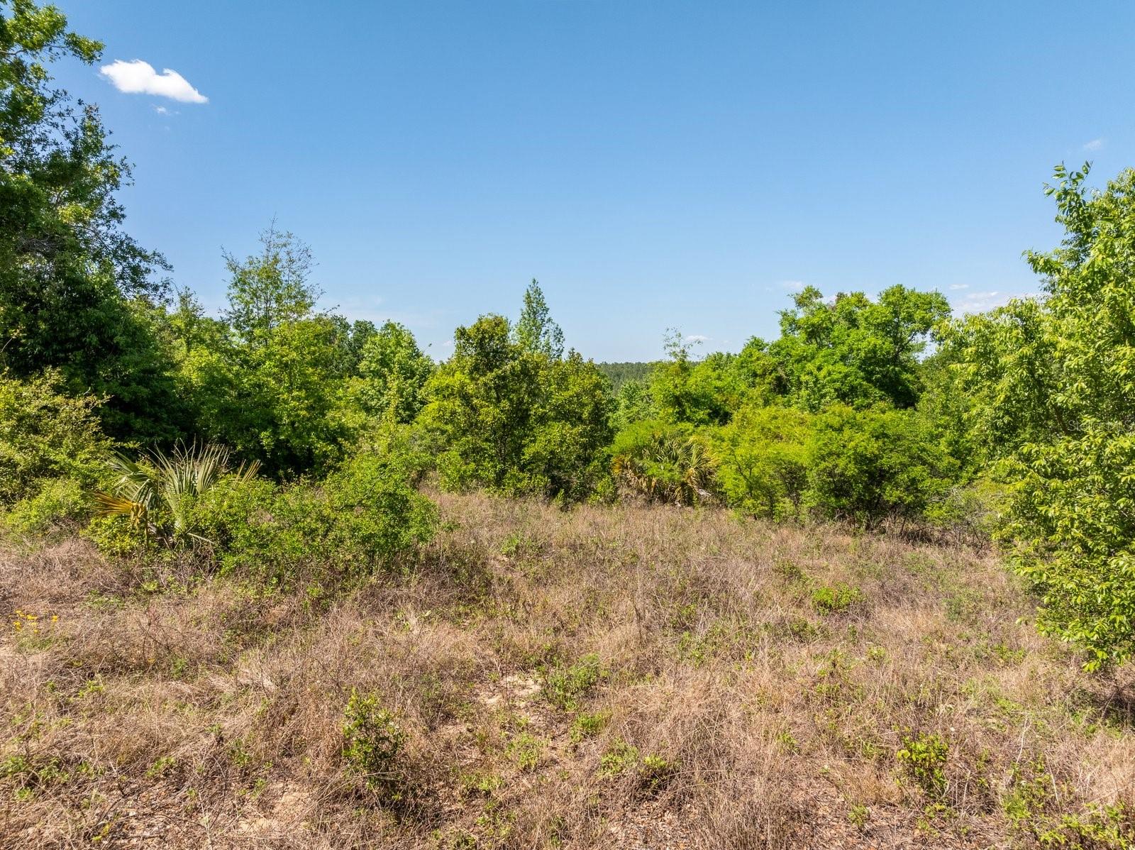 3635 RIDGE RUN DR #lot 47, MINNEOLA, FL, 34715