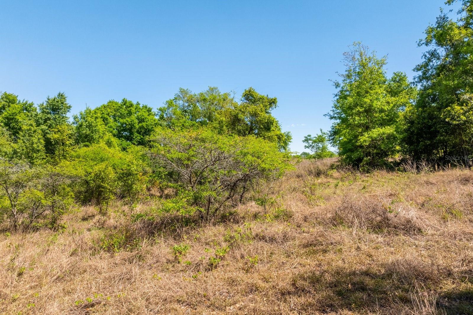 3635 RIDGE RUN DR #lot 47, MINNEOLA, FL, 34715
