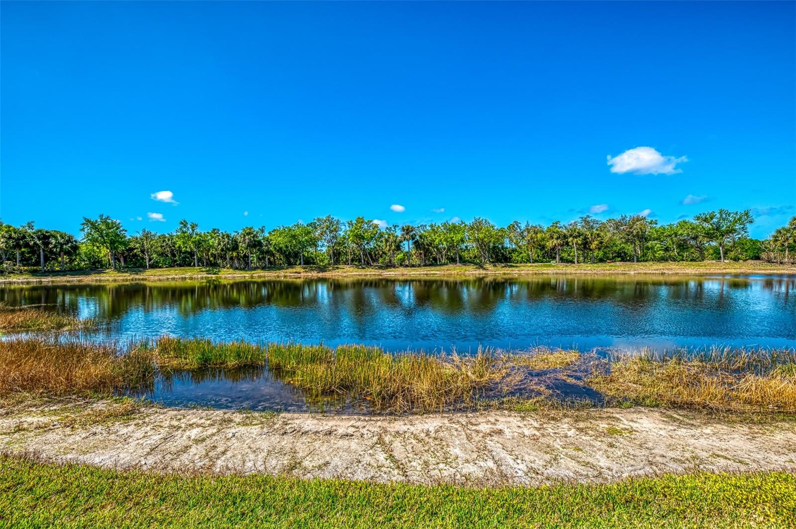 11352 DANCING RIVER DR, VENICE, FL, 34292