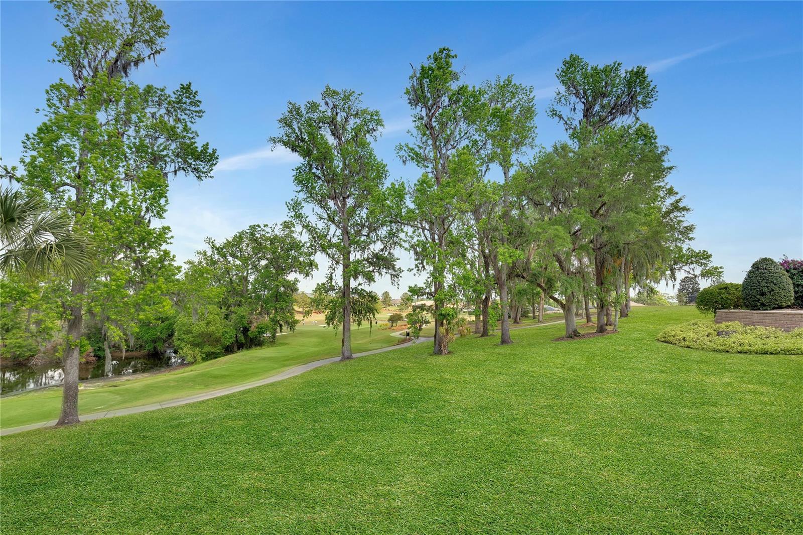 13701 CARNOUSTIE CIR, DADE CITY, FL, 33525