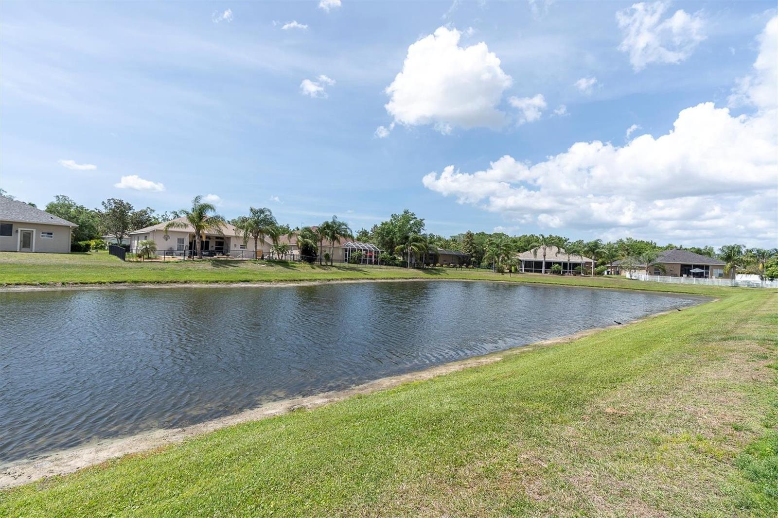 1709 NODDING THISTLE DR, TRINITY, FL, 34655