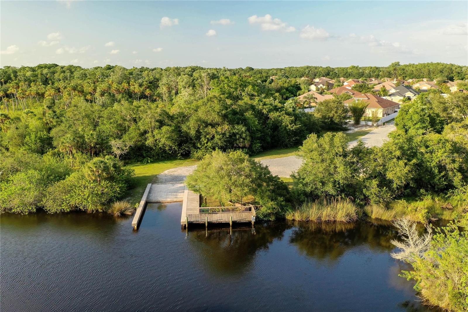 1709 NODDING THISTLE DR, TRINITY, FL, 34655
