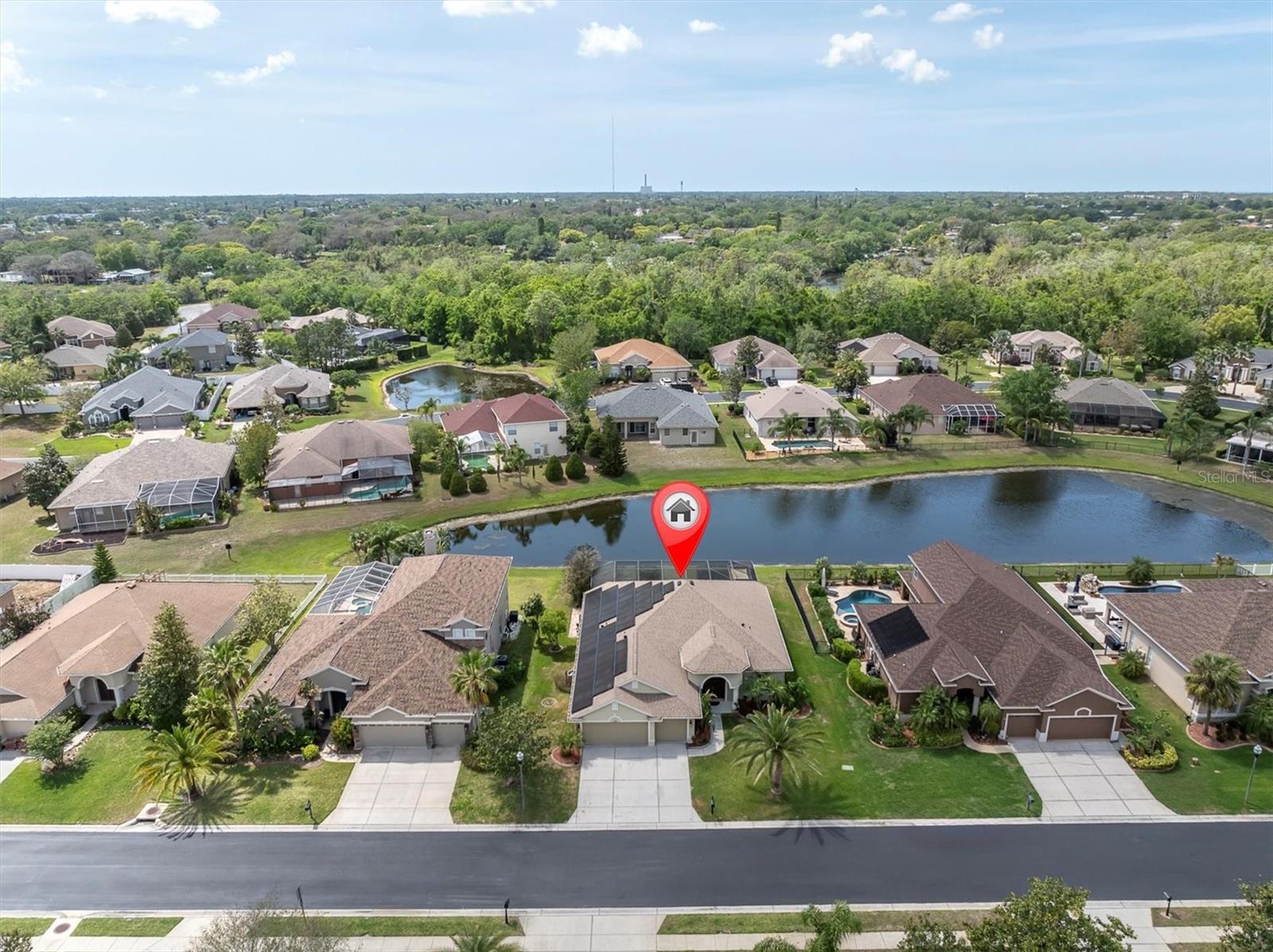 1709 NODDING THISTLE DR, TRINITY, FL, 34655