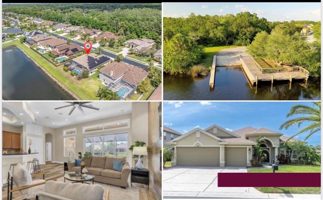 1709 NODDING THISTLE DR, TRINITY, FL, 34655
