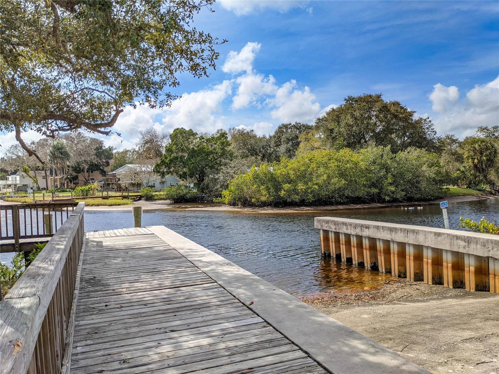 1709 NODDING THISTLE DR, TRINITY, FL, 34655