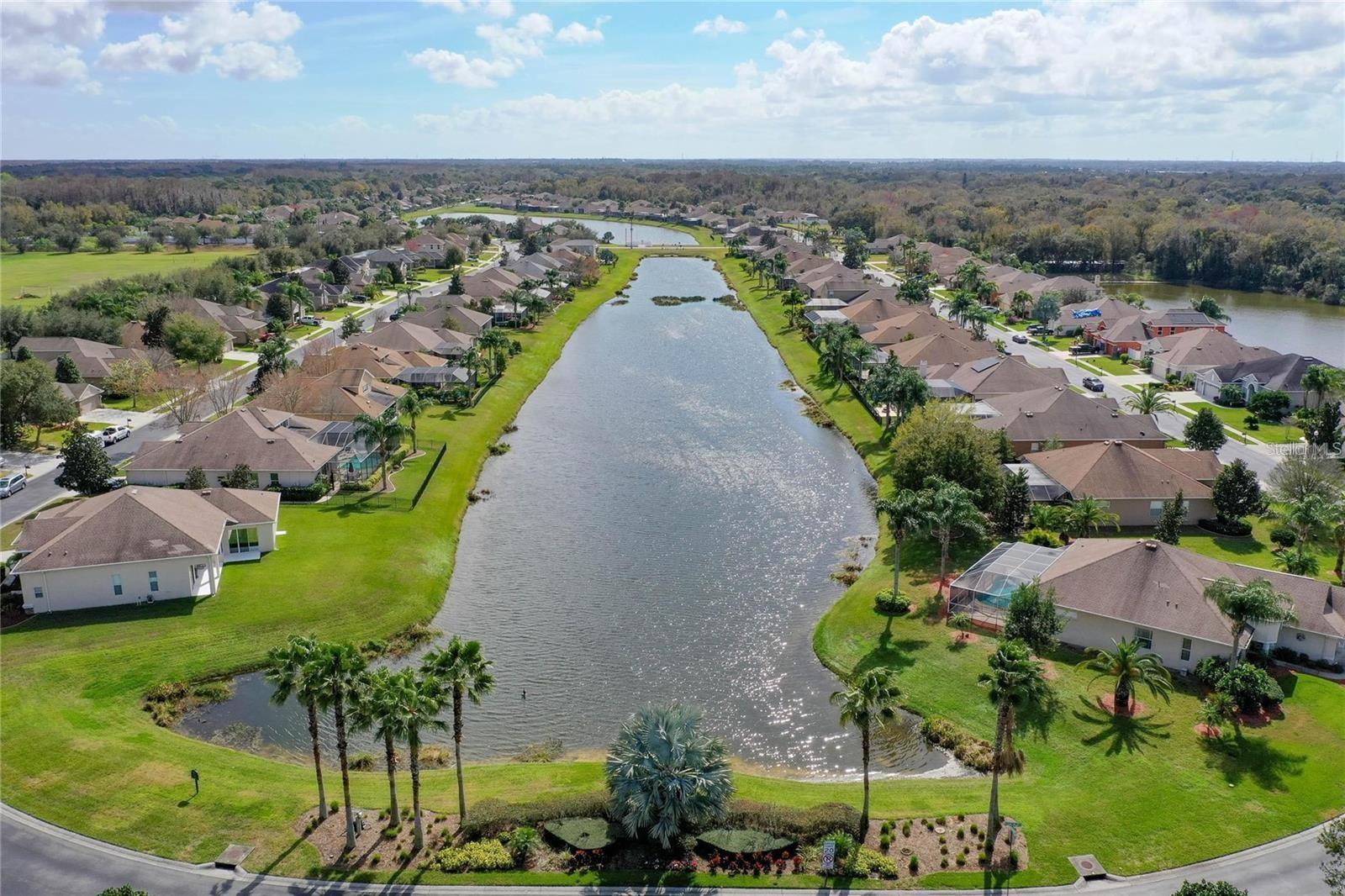 1709 NODDING THISTLE DR, TRINITY, FL, 34655