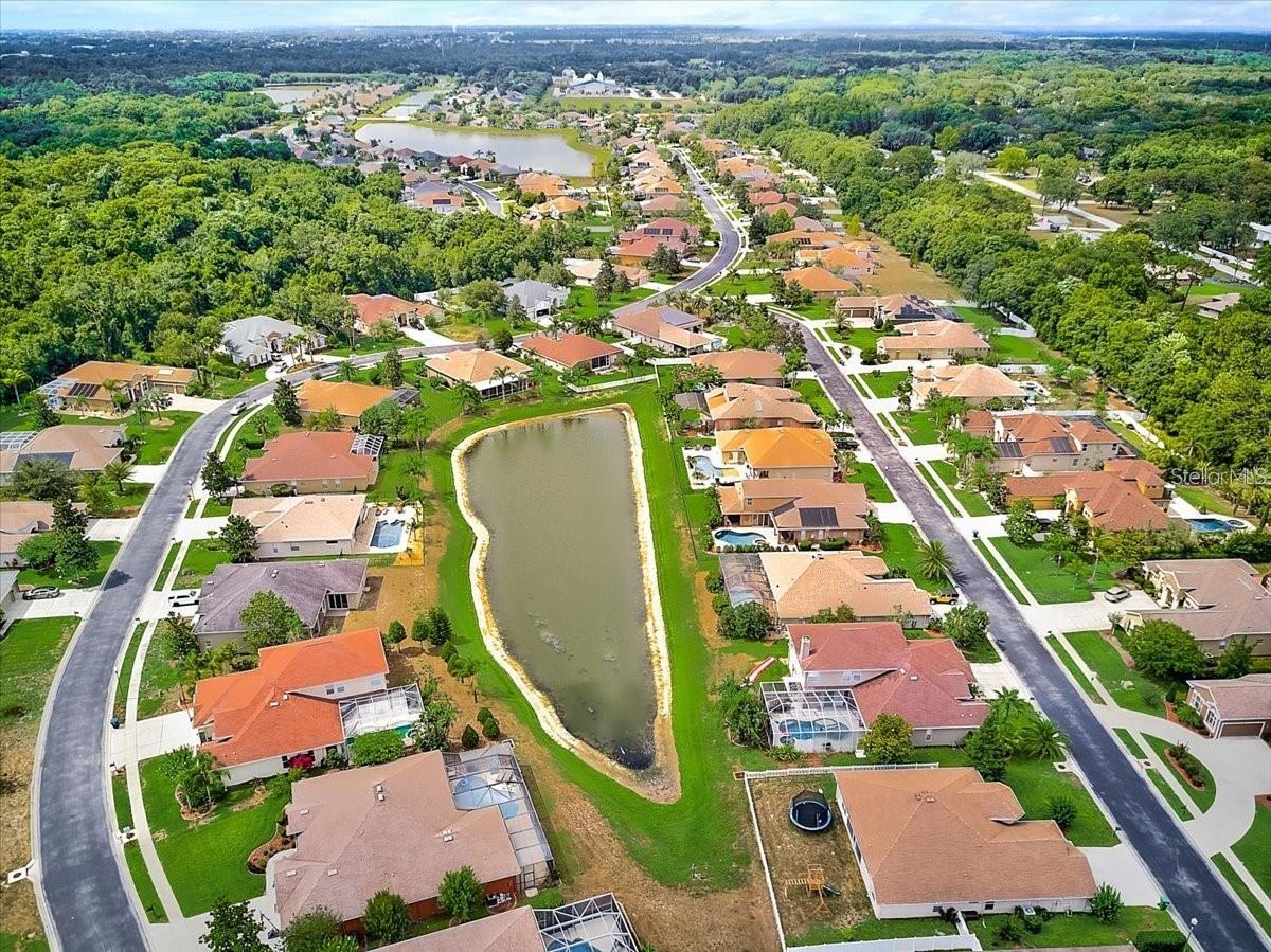 1709 NODDING THISTLE DR, TRINITY, FL, 34655