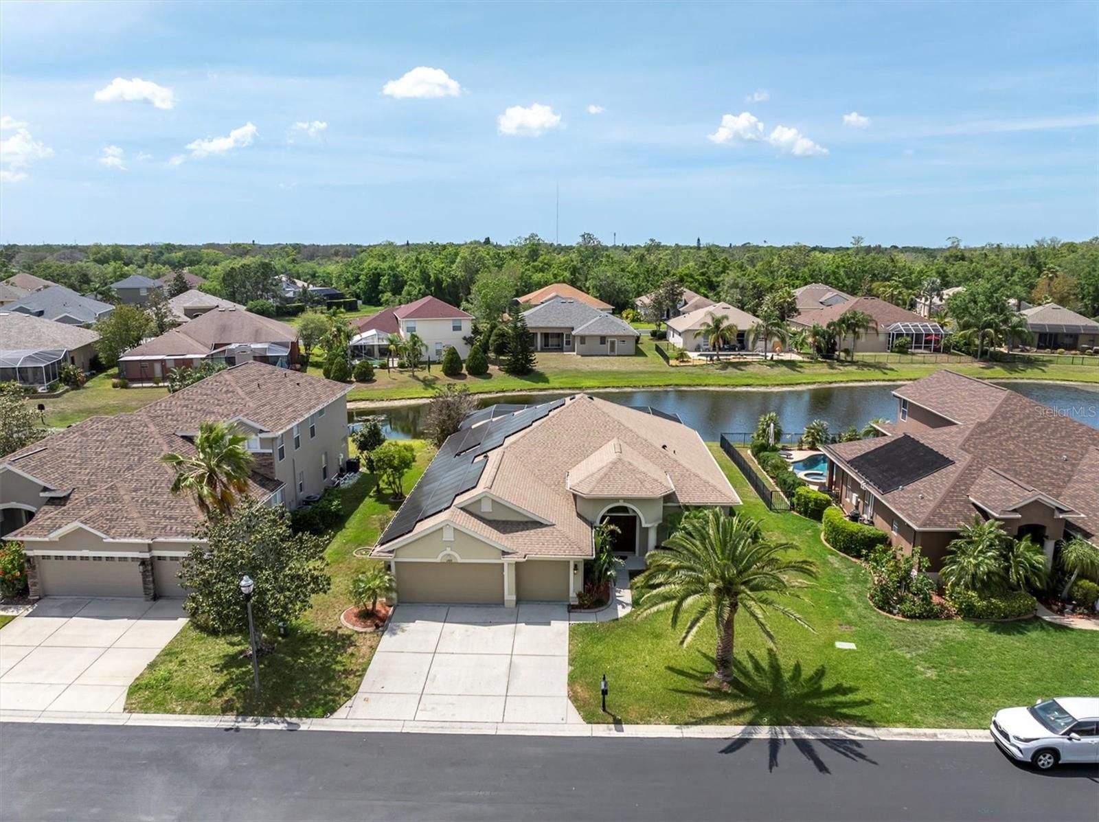 1709 NODDING THISTLE DR, TRINITY, FL, 34655