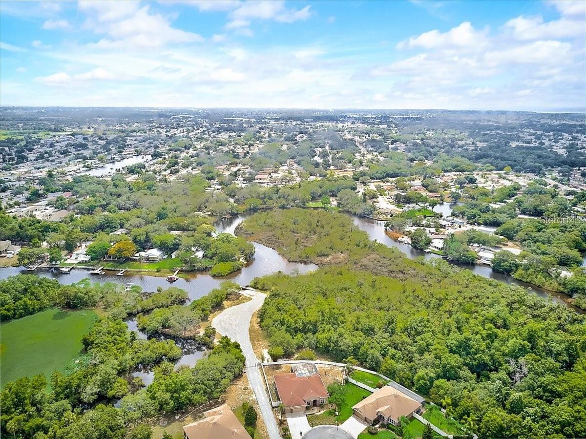 1709 NODDING THISTLE DR, TRINITY, FL, 34655