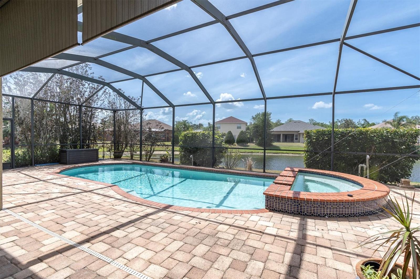 1709 NODDING THISTLE DR, TRINITY, FL, 34655
