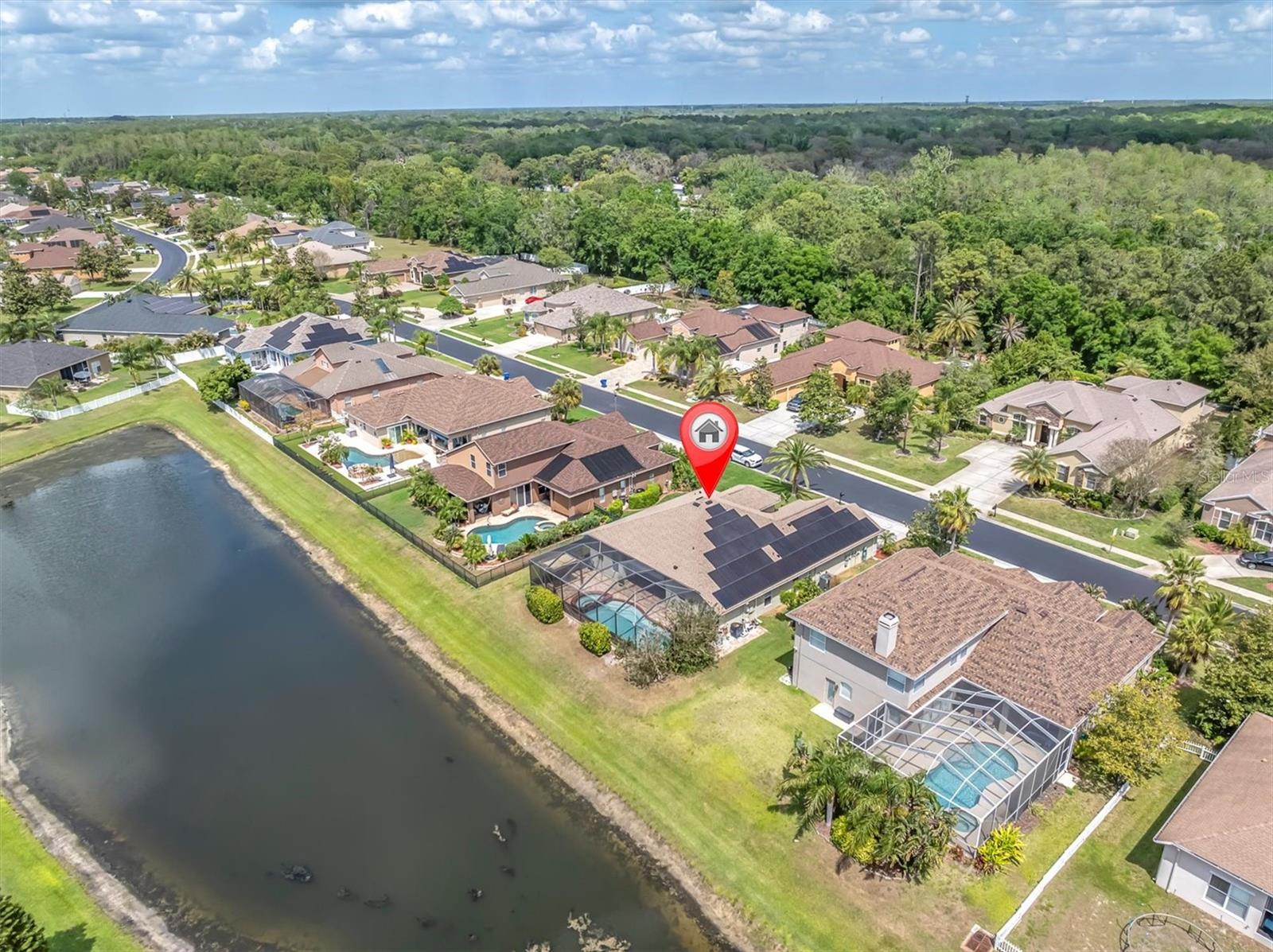 1709 NODDING THISTLE DR, TRINITY, FL, 34655