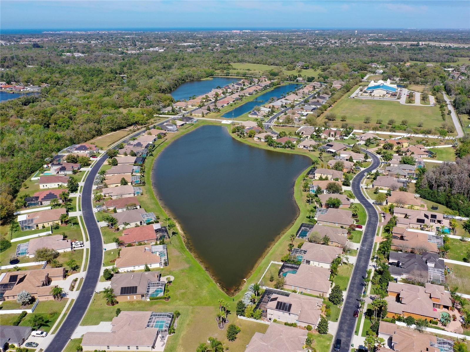 1709 NODDING THISTLE DR, TRINITY, FL, 34655