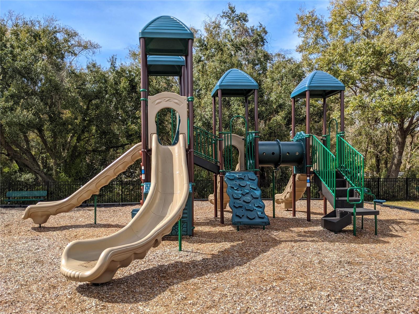 1709 NODDING THISTLE DR, TRINITY, FL, 34655