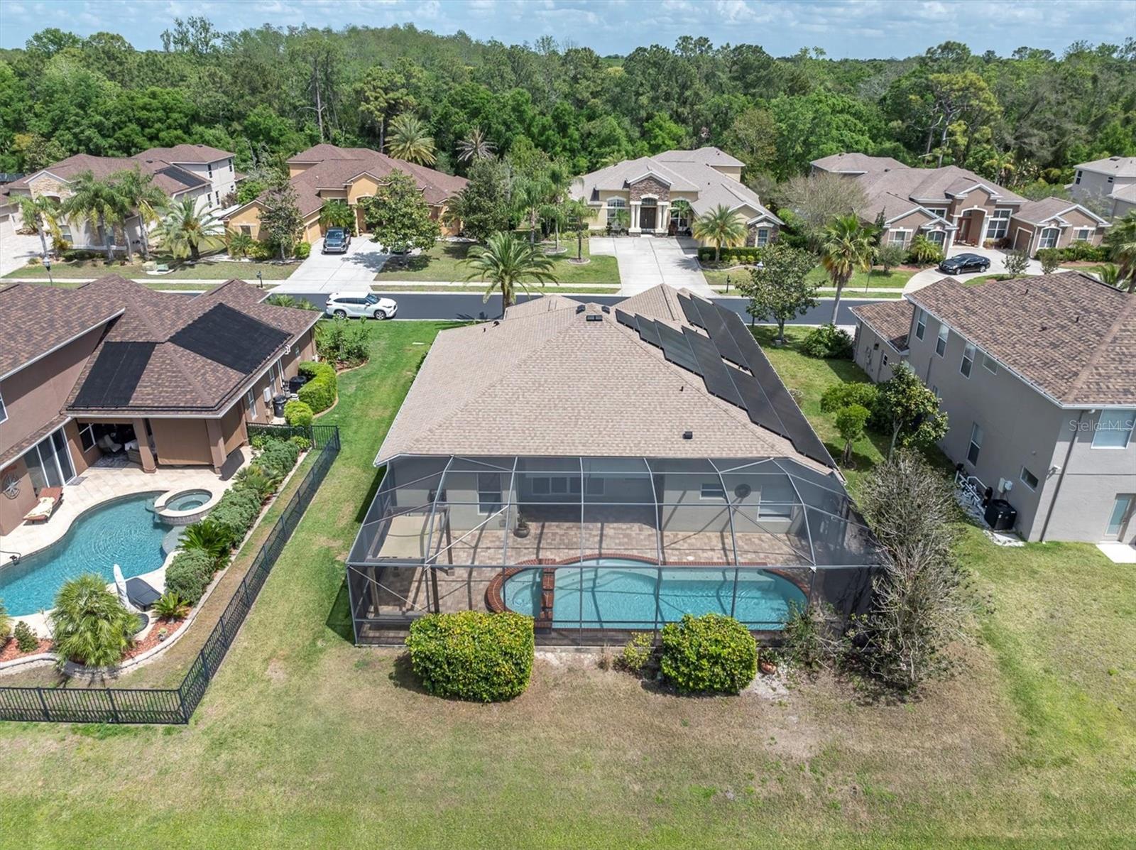 1709 NODDING THISTLE DR, TRINITY, FL, 34655