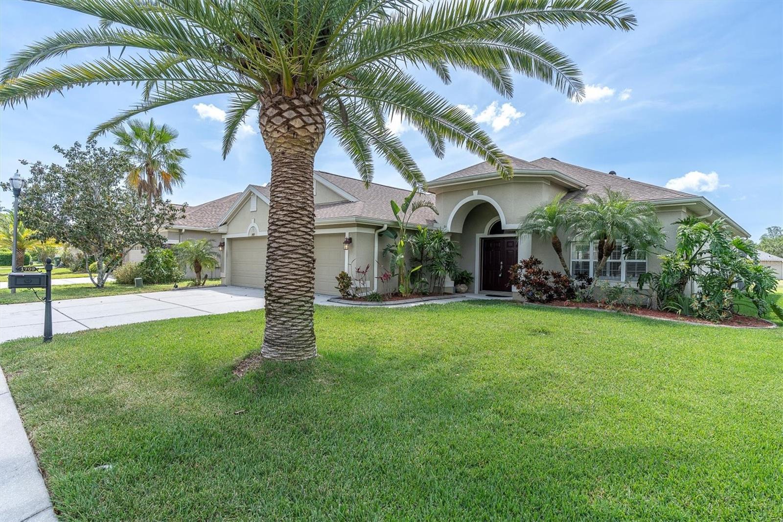 1709 NODDING THISTLE DR, TRINITY, FL, 34655