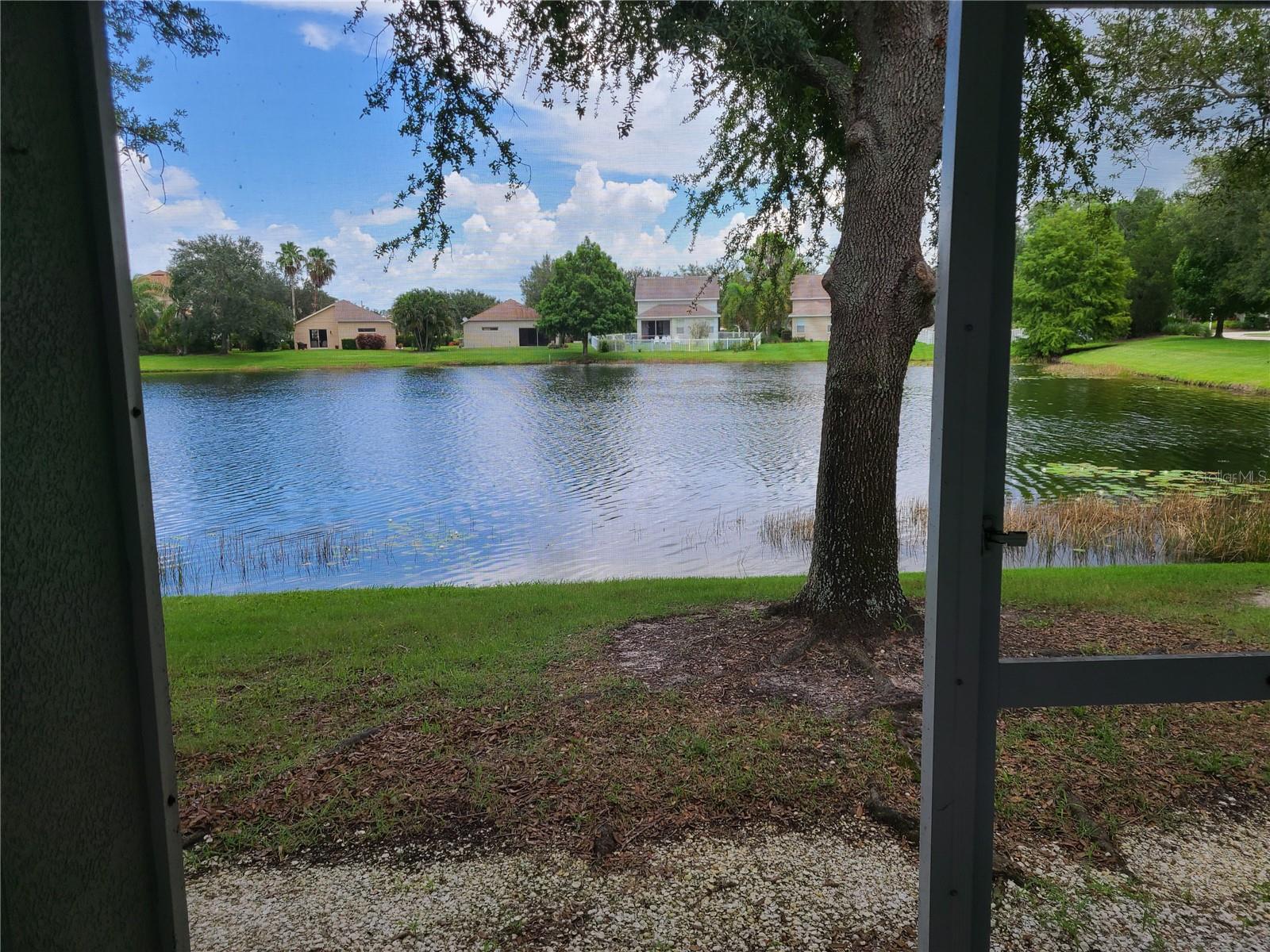14812 SKIP JACK LOOP, LAKEWOOD RANCH, FL, 34202
