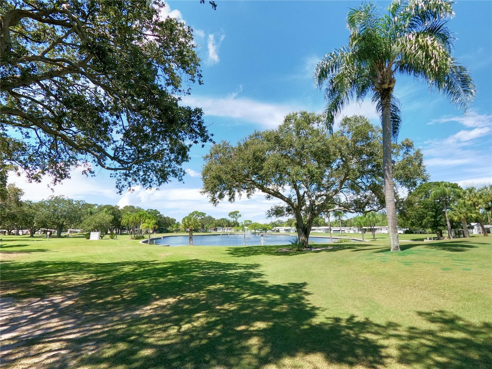 1100 BELCHER RD S #391, LARGO, FL, 33771