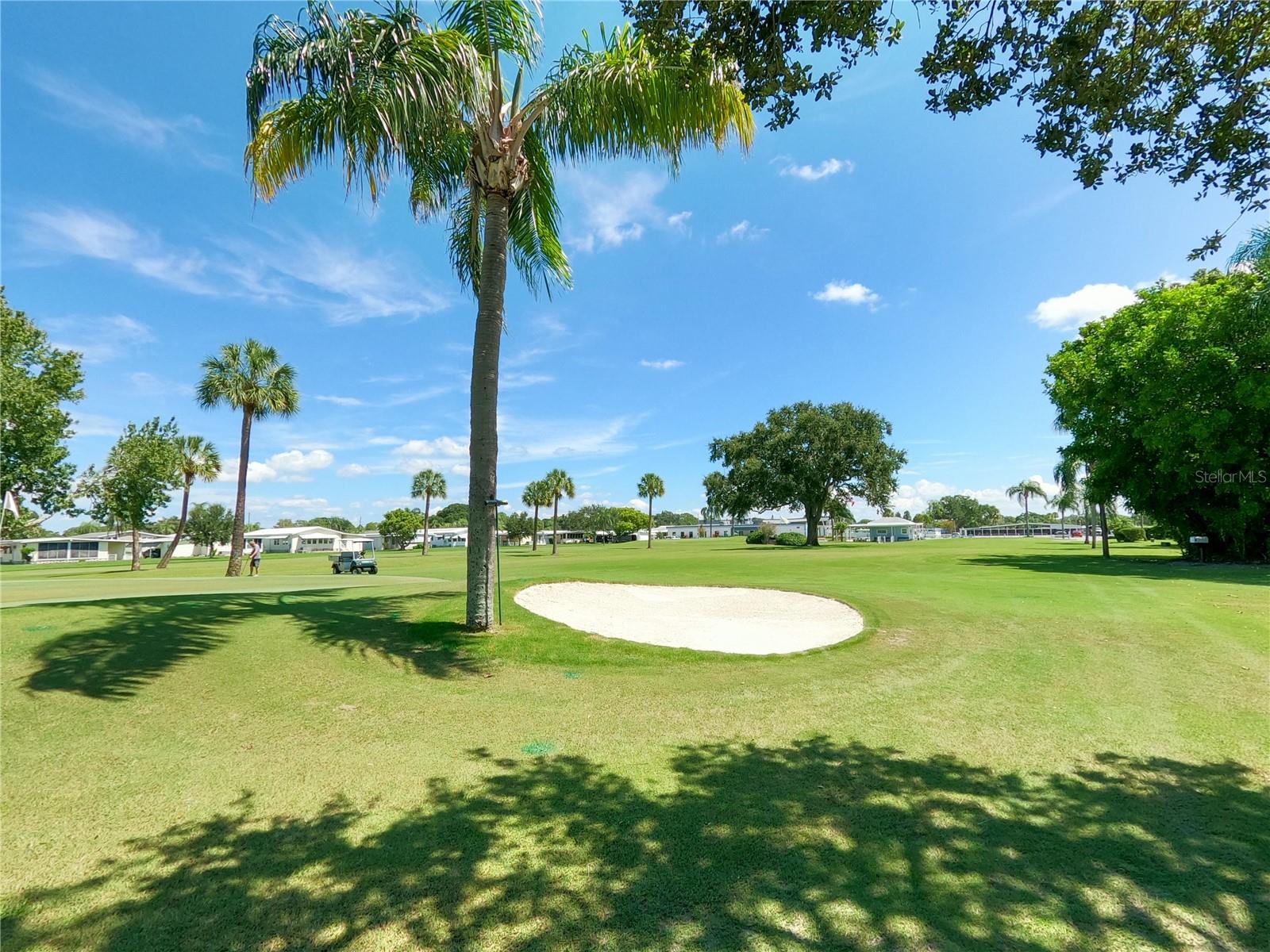 1100 BELCHER RD S #391, LARGO, FL, 33771