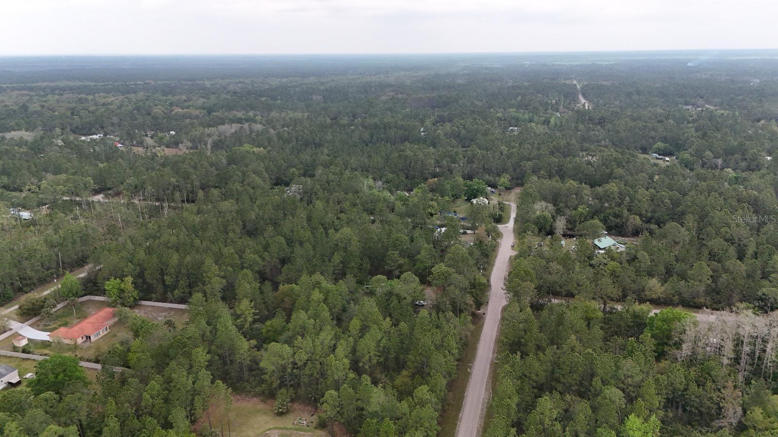 2834 ORANGE BLOSSOM ST, BUNNELL, FL, 32110