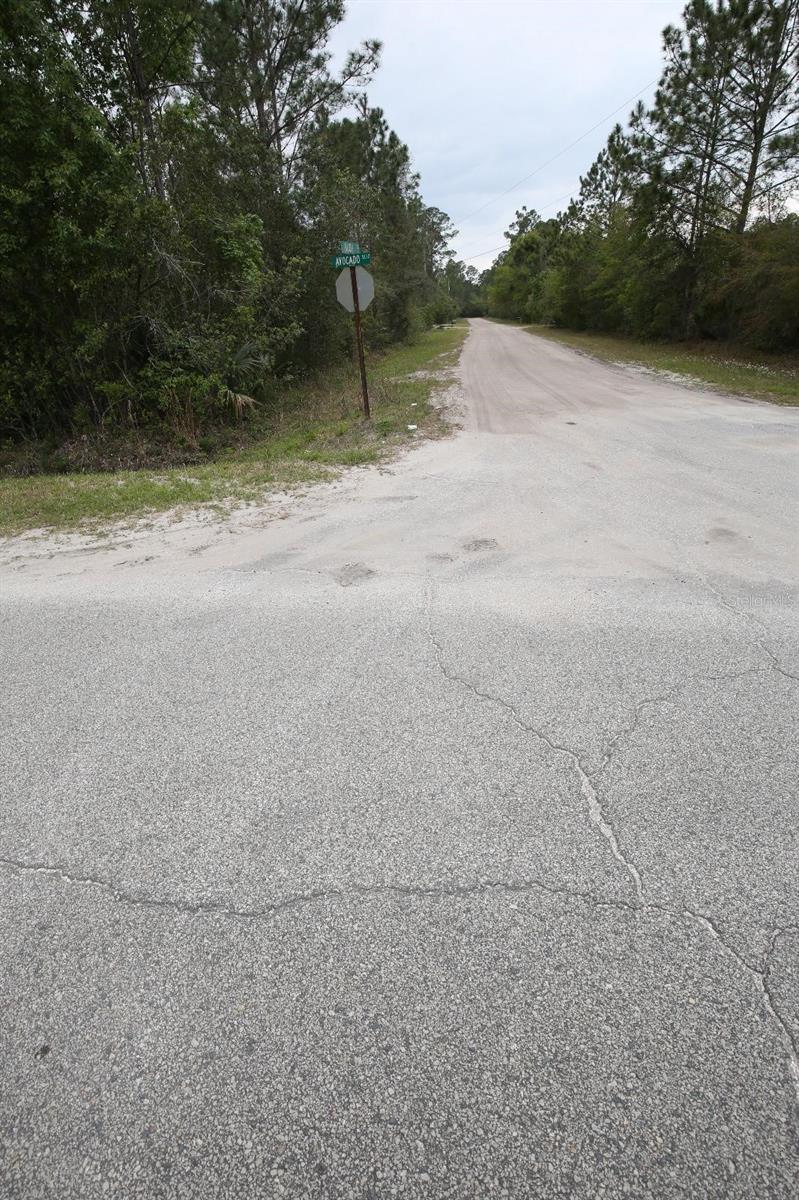 2834 ORANGE BLOSSOM ST, BUNNELL, FL, 32110