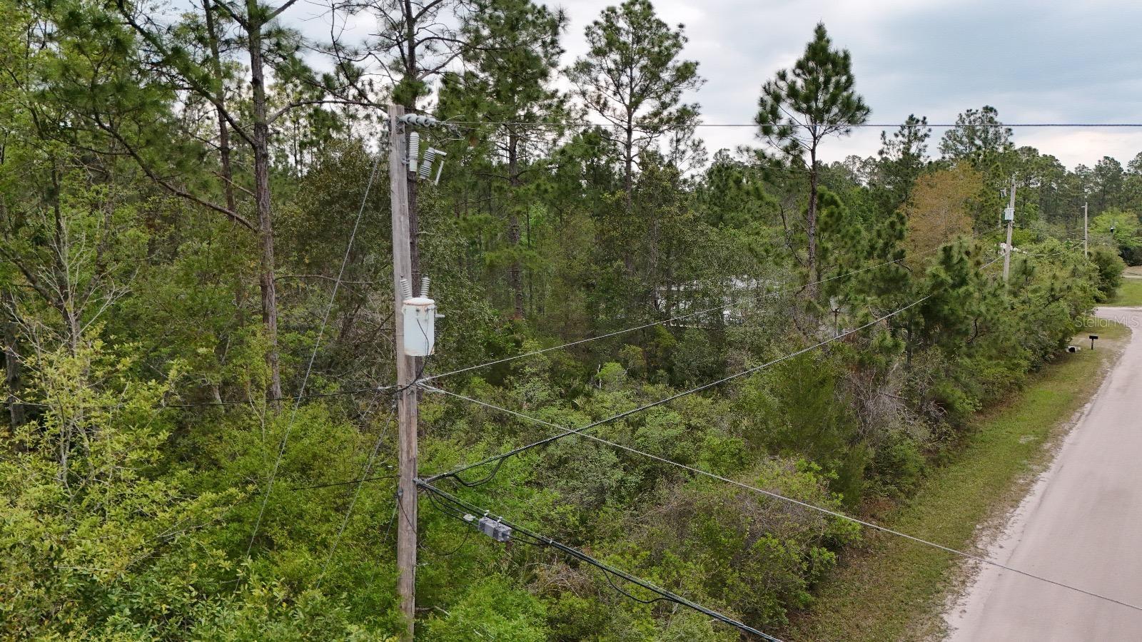 2834 ORANGE BLOSSOM ST, BUNNELL, FL, 32110