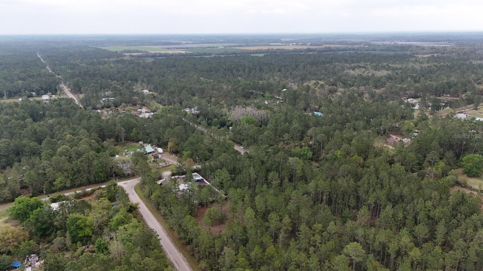 2834 ORANGE BLOSSOM ST, BUNNELL, FL, 32110