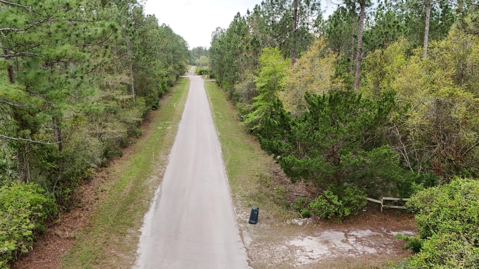 2834 ORANGE BLOSSOM ST, BUNNELL, FL, 32110